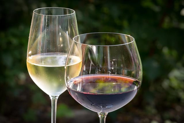 top tips about wine that anyone can follow